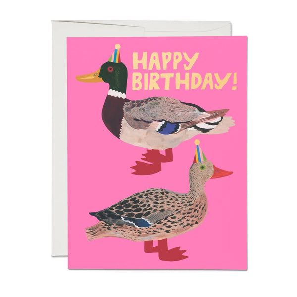 Red Cap Cards - Quacky Birthday greeting card