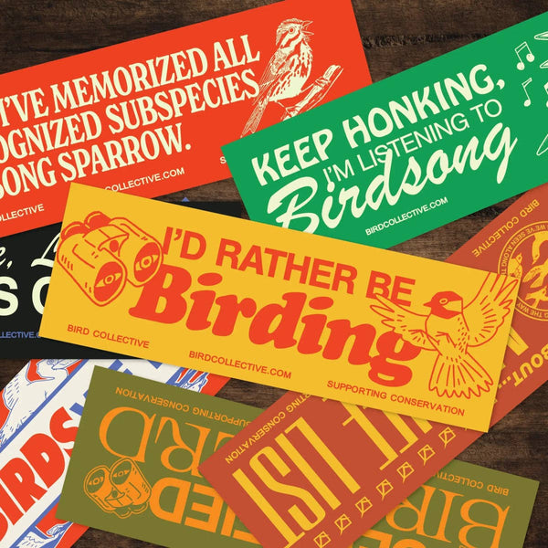 Bird Collective - Rather Be Birding Bumper Sticker