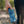 Montana Scene Water Bottle: Littering Drinkware The Montana Scene 