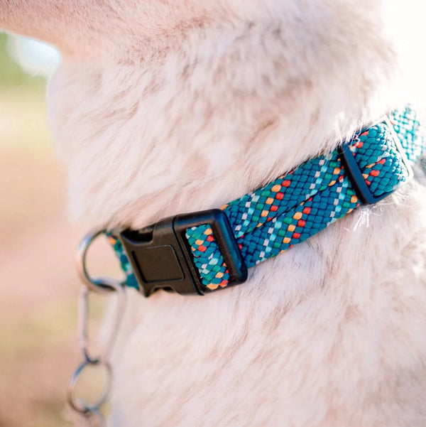 Wilderdog Dog Collars accessory Wilderdog 