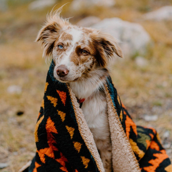 Wilderdog Sherpa Fleece Waterproof Blanket Wilderdog 
