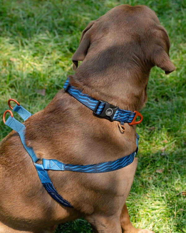 Woven Dog Harness United By Blue 
