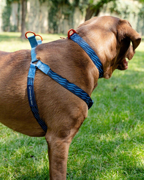 Woven Dog Harness United By Blue Wave / M 